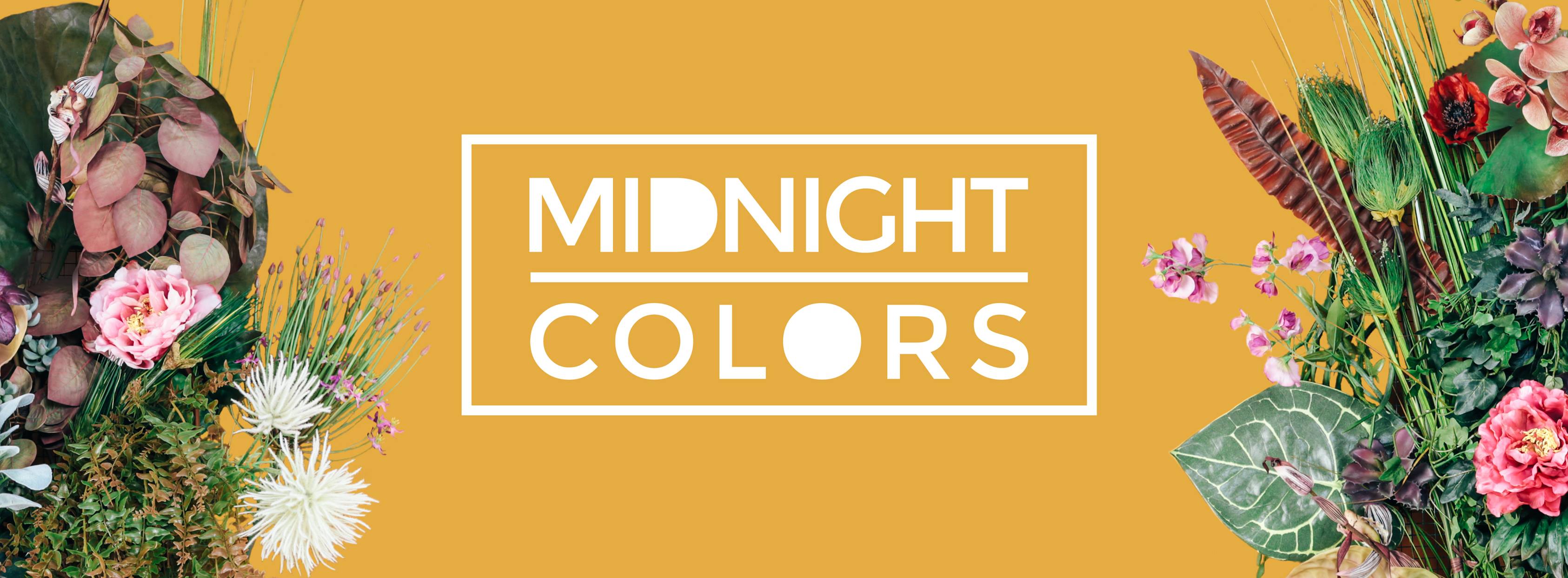 Midnight colors en concert au Zèbre de Belleville