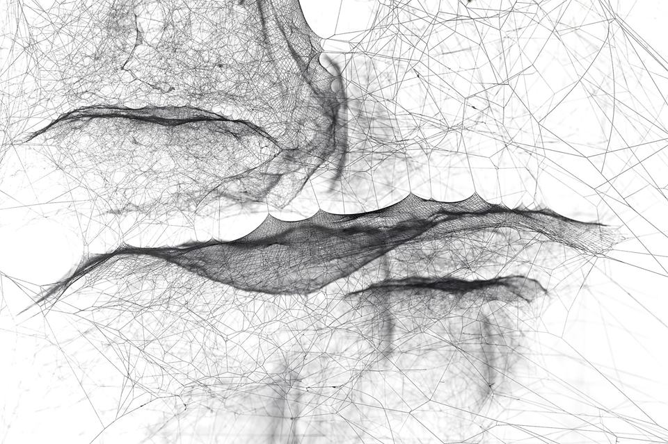Carte Blanche à Tomás Saraceno
